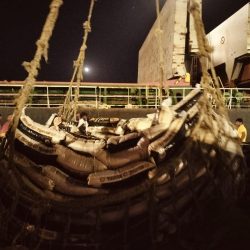 WhatsApp Image 2026-04-02 at 10.53.34 (1)