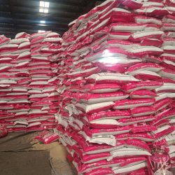 WhatsApp Image 2026-04-02 at 10.53.38 (1)