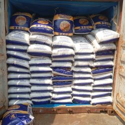 WhatsApp Image 2026-04-02 at 10.53.41 (2)